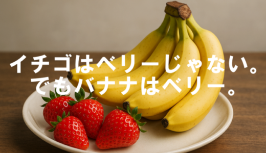 イチゴはベリーじゃない。でもバナナはベリー。【聞き流し英語で学ぶ雑学リスニング】